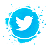 twitter-vetorizado-catavistoria-laudodemotor-redes-sociais Seja um Licenciado